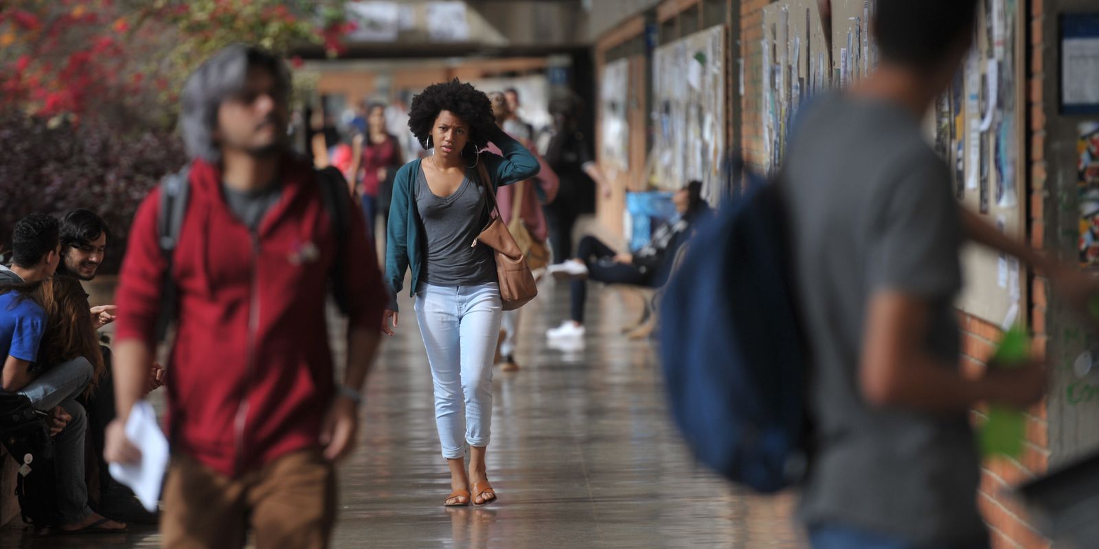 inscricoes-para-o-pe-de-meia-licenciaturas-comecam-dia-17-de-fevereiro