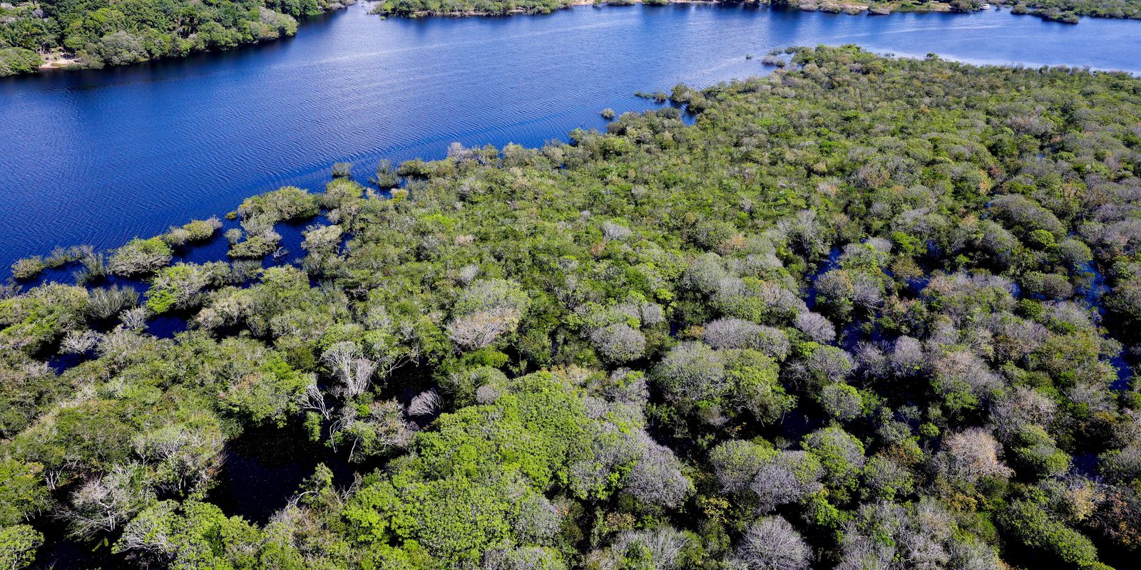 governo-lanca-edital-para-combate-ao-desmatamento-na-amazonia