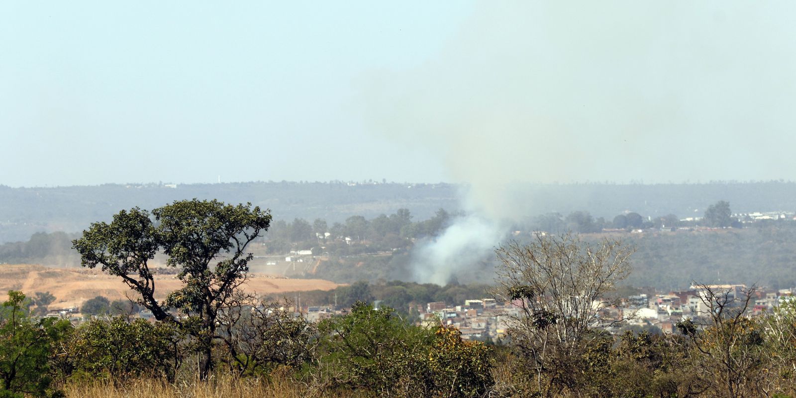 mma-lanca-edital-para-arborizar-periferia-urbana-de-pequenas-cidades