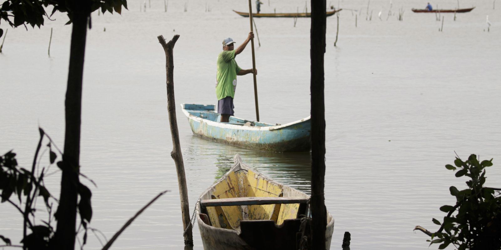 conferencias-estaduais-de-aquicultura-e-pesca-serao-em-junho-e-jullho