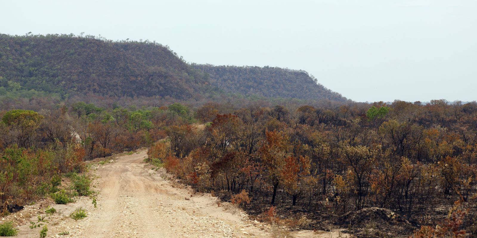 mapbiomas:-menor-vegetacao-nativa-expoe-mais-o-pais-ao-el-nino