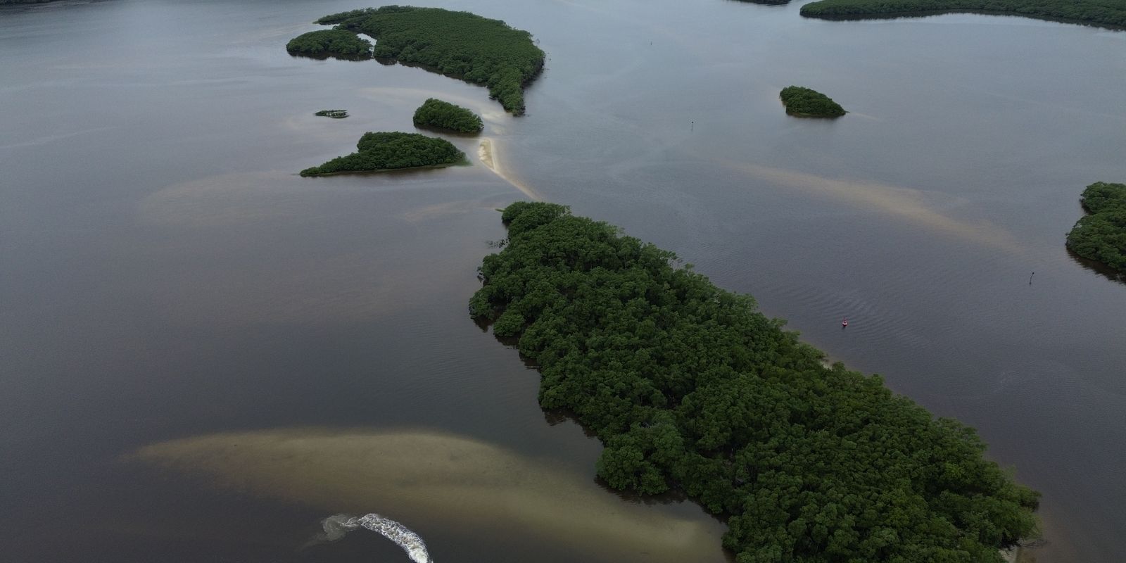 Países consideram insuficientes ações contra crise da biodiversidade