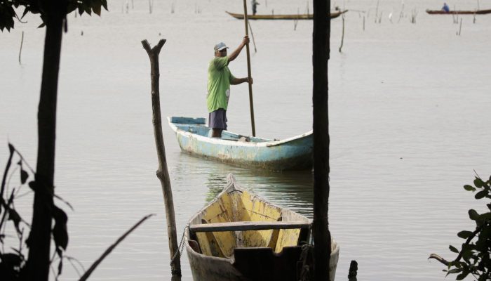conferencias-estaduais-de-aquicultura-e-pesca-serao-em-junho-e-jullho